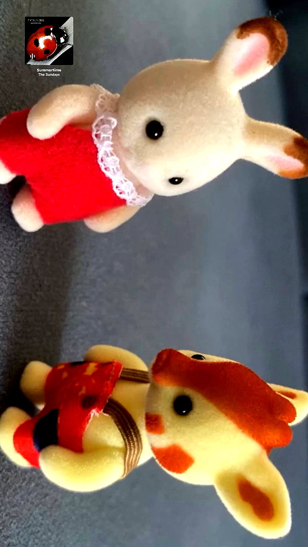 purin4a archive video preview