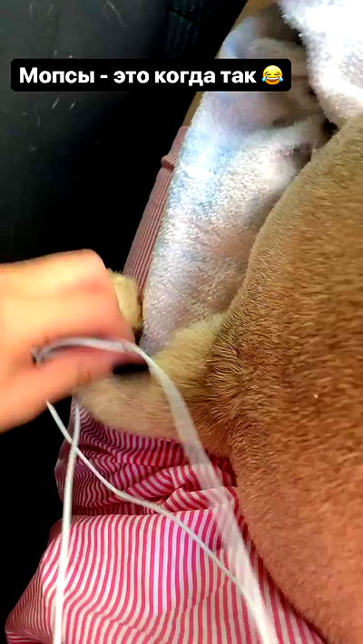 nyityam nyityam archive video