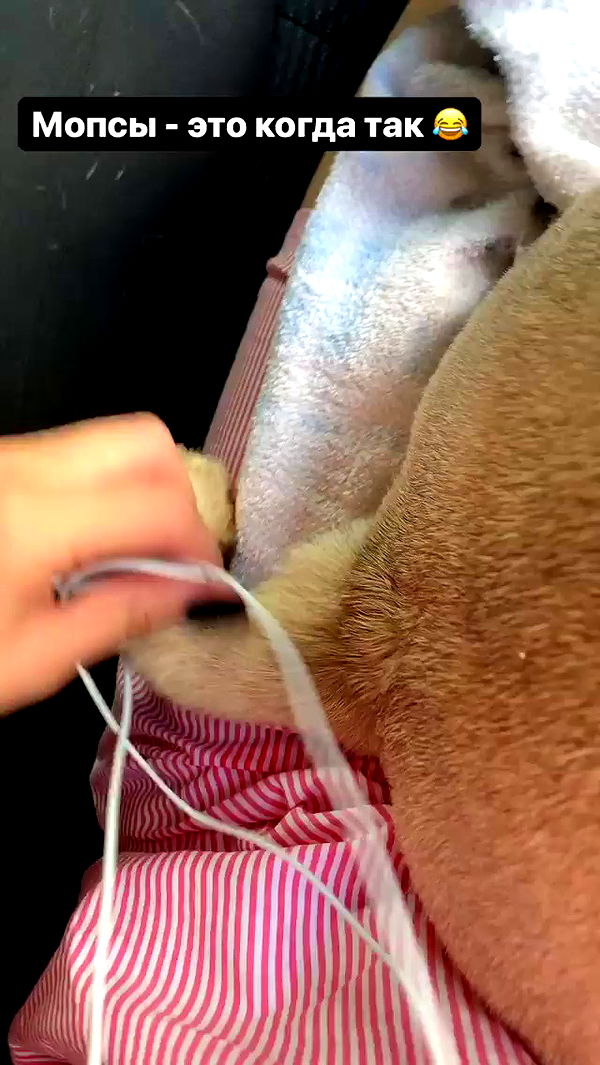 nyityam archive video preview