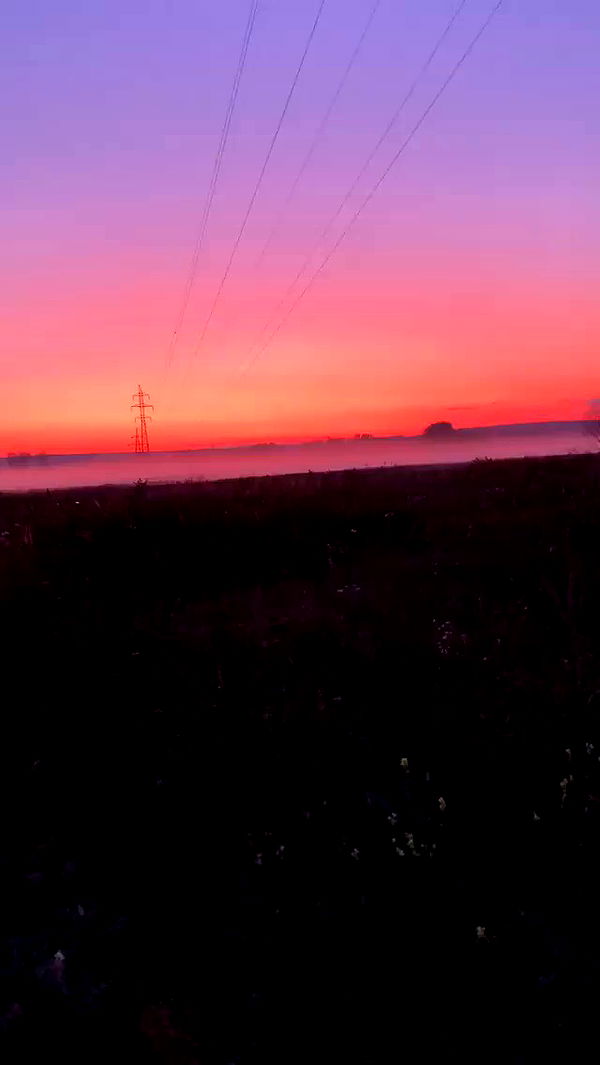 nyityam archive video preview