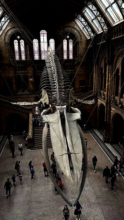 taylor.creeden taylor.creeden archive video