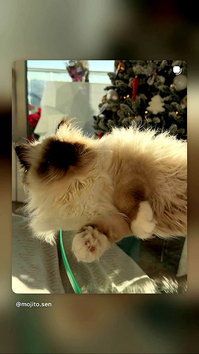 kasumi_sen kasumi_sen archive video