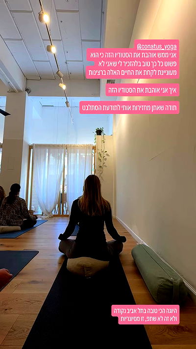 iambohema.v2 iambohema.v2 archive video