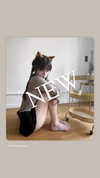setsubaaa Altpins Profile Picture