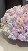 nomagdalina Altpins Profile Picture