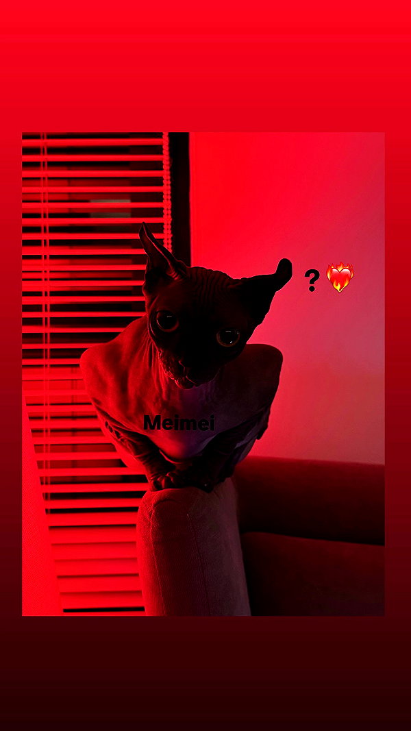 darkstar_mia archive video preview