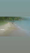 mellisachristiee Altpins Profile Picture