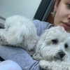 lucyhale Altpins Profile Picture