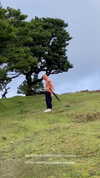 ayguldavlletova Altpins Profile Picture