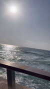 yuli.barell Altpins Profile Picture