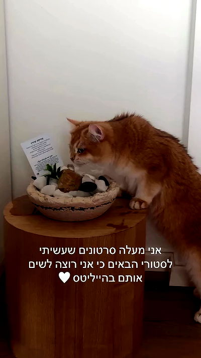 itsilanosh itsilanosh archive video