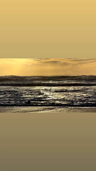 taylor.creeden taylor.creeden archive video