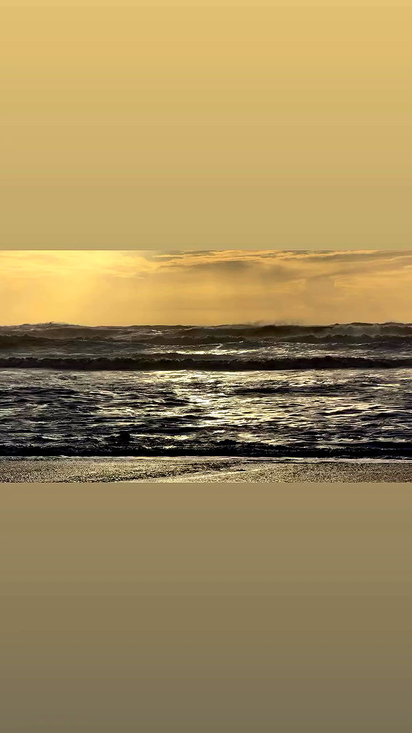 taylor.creeden archive video preview