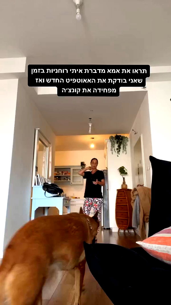 yuval_raz archive video preview