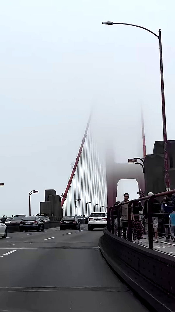 vvenvre archive video preview