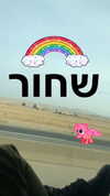 maori_cohen Altpins Profile Picture