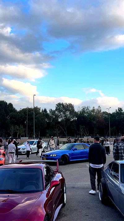 simp_for_cats_ simp_for_cats_ archive video