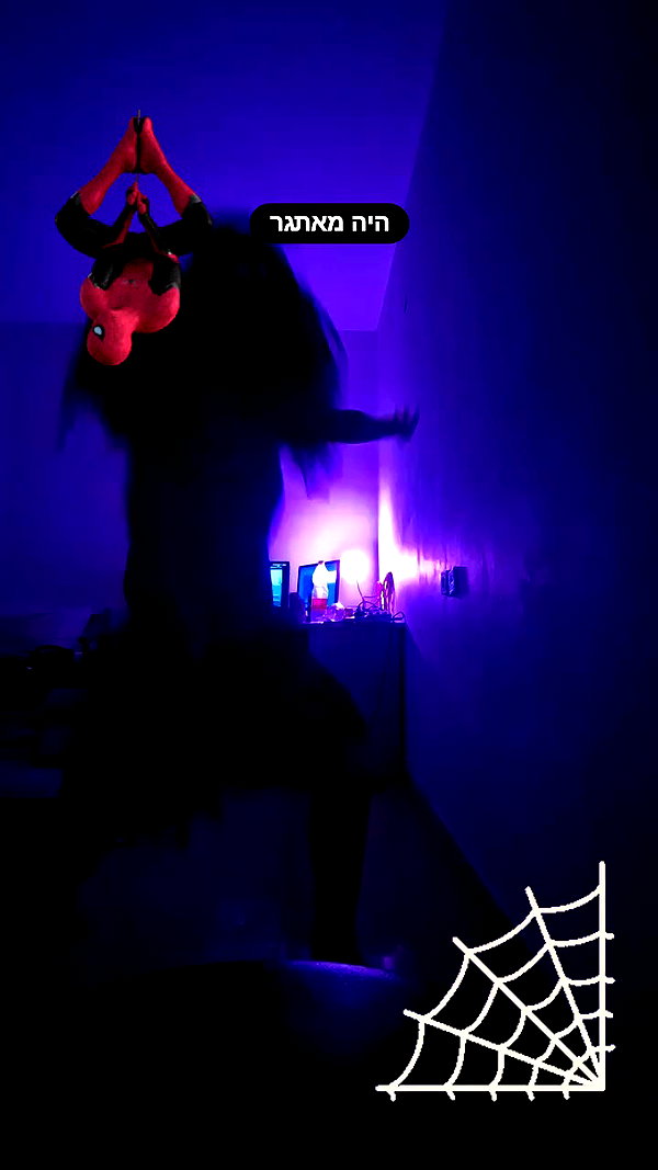 shayli_or archive video preview