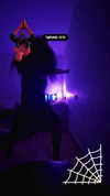shayli_or Altpins Profile Picture