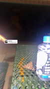 yeraofficial_ Altpins Profile Picture