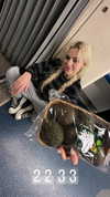 vik4au Altpins Profile Picture