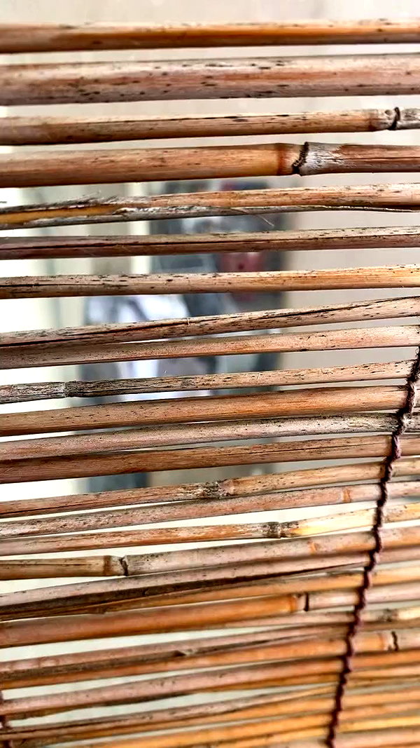 babynympho_archive archive video preview