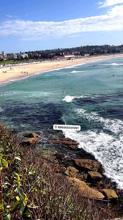 taylor.creeden taylor.creeden archive video