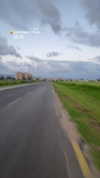 mishel_d_ Altpins Profile Picture