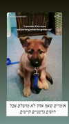 emily_new2 Altpins Profile Picture