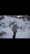zoeliss Altpins Profile Picture