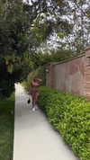 payton.r Altpins Profile Picture
