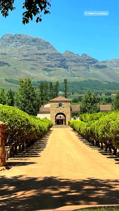 taylor.creeden taylor.creeden archive video