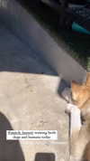 gabbyepstein Altpins Profile Picture
