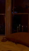 elizabethcampbelljones Altpins Profile Picture