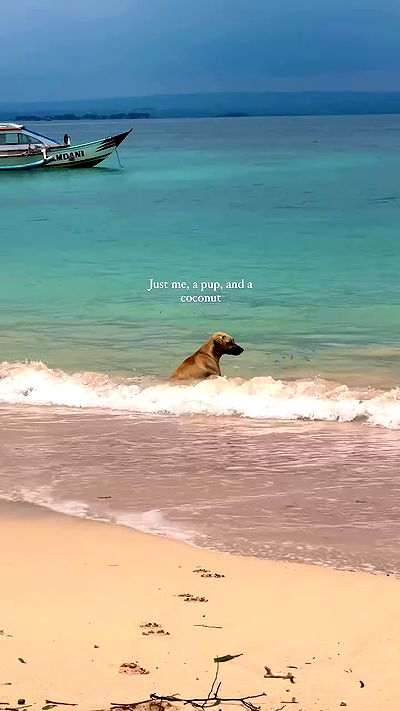 taylor.creeden taylor.creeden archive video