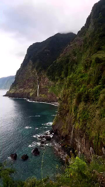 tamagotkri archive video preview