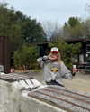 gabbyepstein Altpins Profile Picture