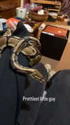 jahia_brown Altpins Profile Picture