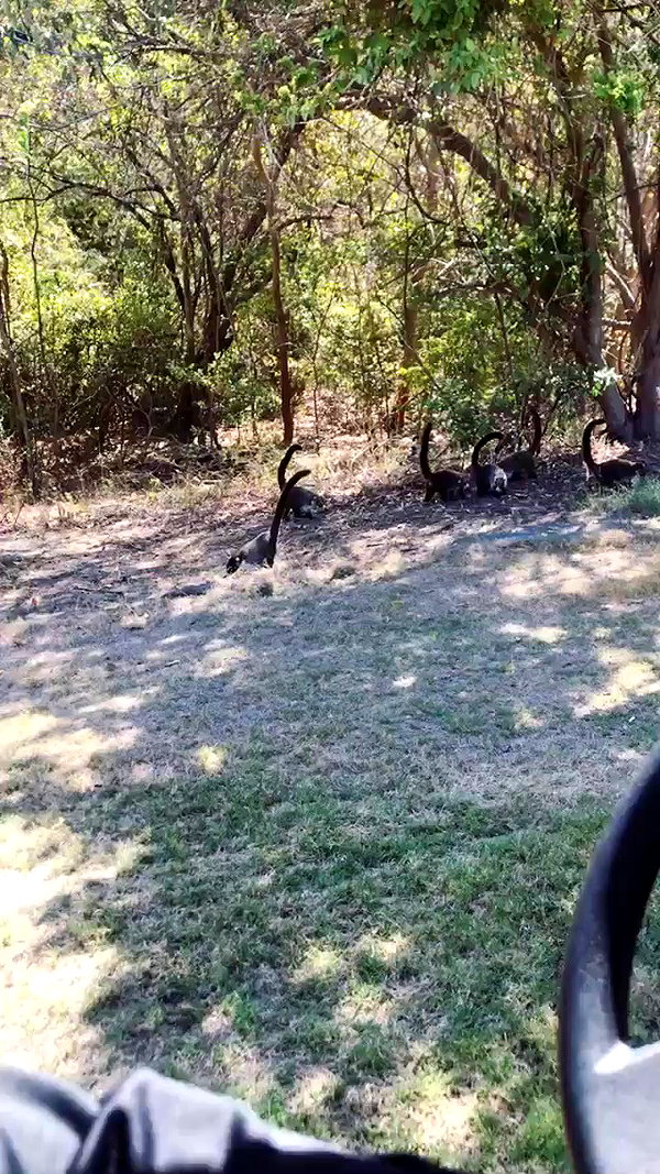 taylorballarddd archive video preview