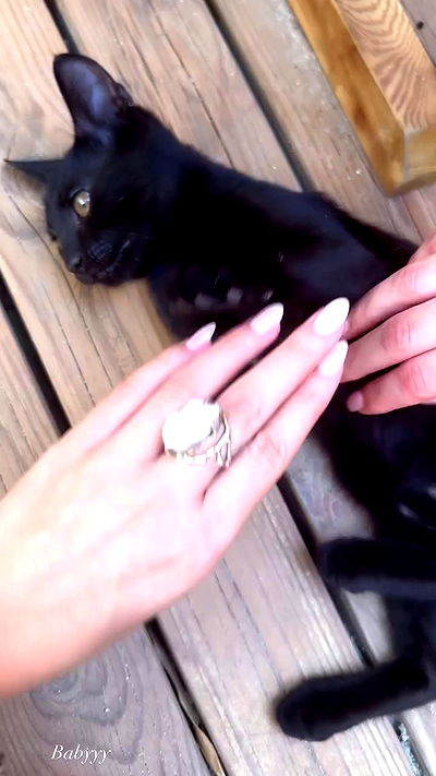 taylor.creeden taylor.creeden archive video