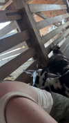olivia.bolgerr Altpins Profile Picture