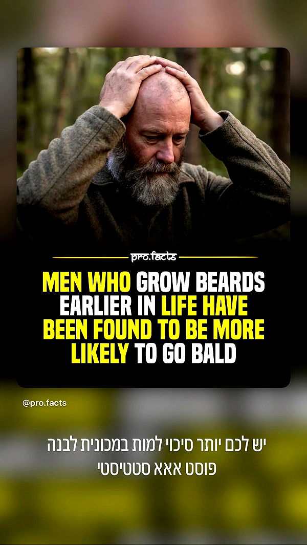 yannaidebeer archive video preview