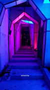 maycohen8 Altpins Profile Picture