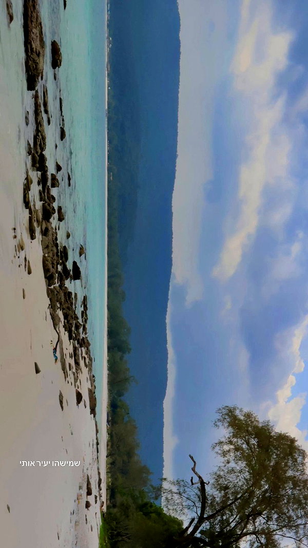 tamar_tsur archive video preview