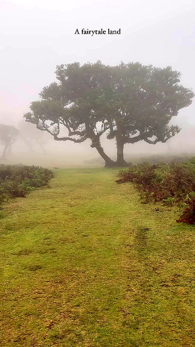 taylor.creeden taylor.creeden archive video