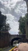 sonia.v._ Altpins Profile Picture