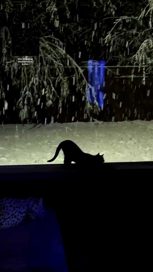 iamm3dusa archive video preview