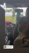bat.wiings Altpins Profile Picture