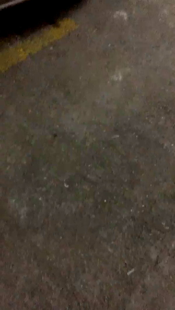 eitan.420 archive video preview