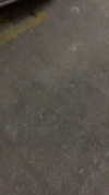 eitan.420 Altpins Profile Picture